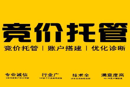 实战案例分析：如何通过竞价推广公司提升转化率